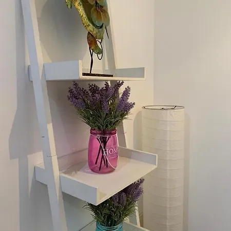 Ria Do Sal 4* أفيرو