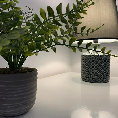 Ria Do Sal فندق مبيت وإفطار