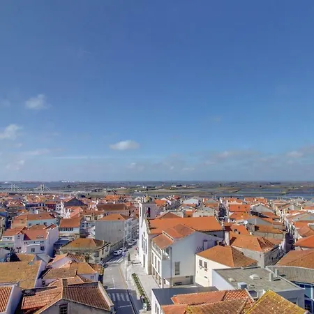 Ria Do Sal Aveiro