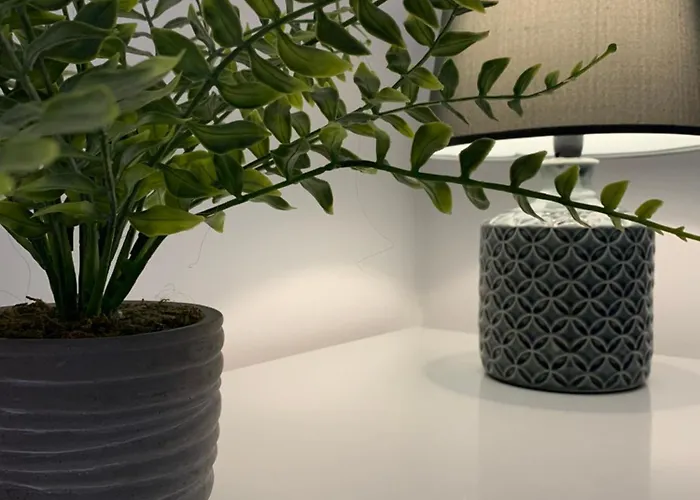 Ria Do Sal לינה וארוחת בוקר